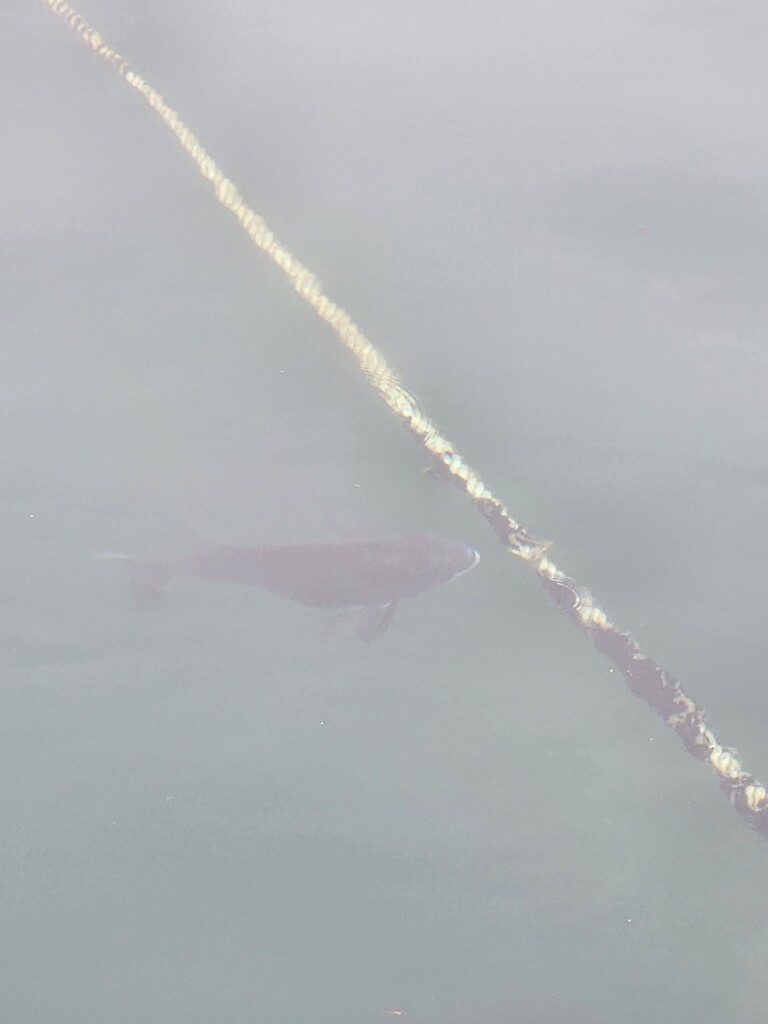 거제덕포해상팬션 