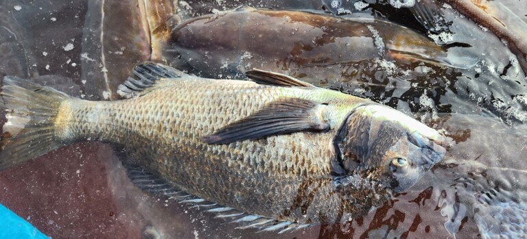 거제덕포해상팬션 