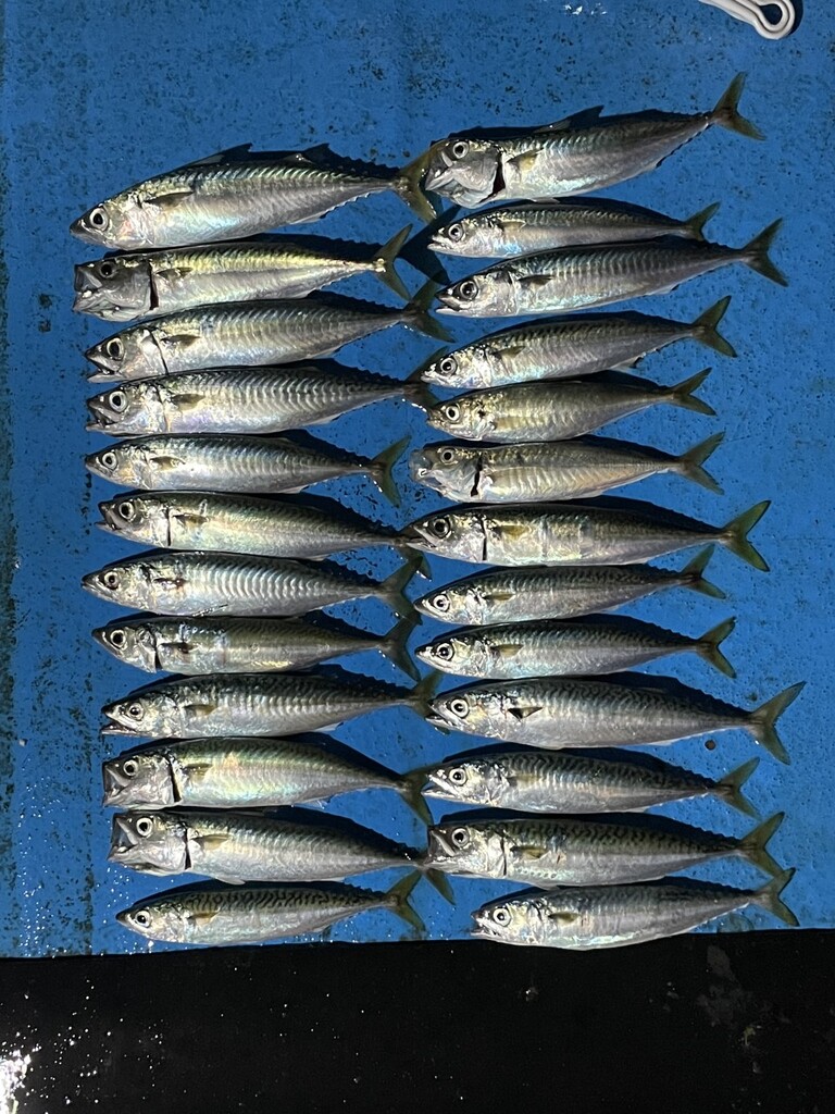 거제덕포해상팬션