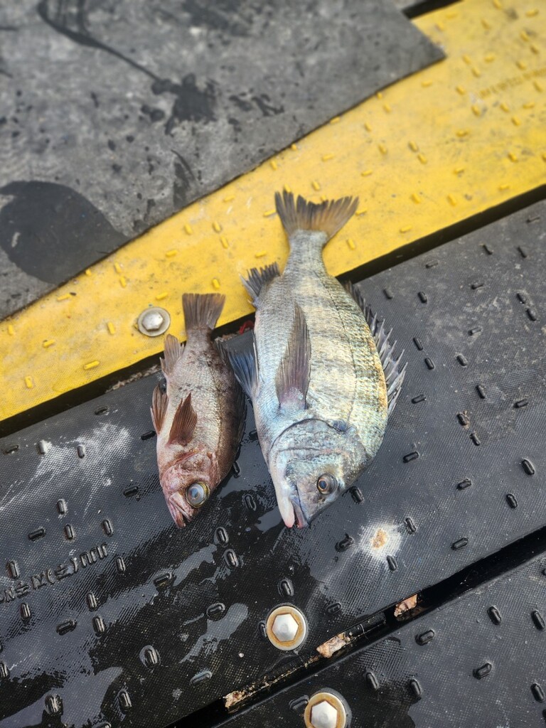 거제덕포해상팬션 