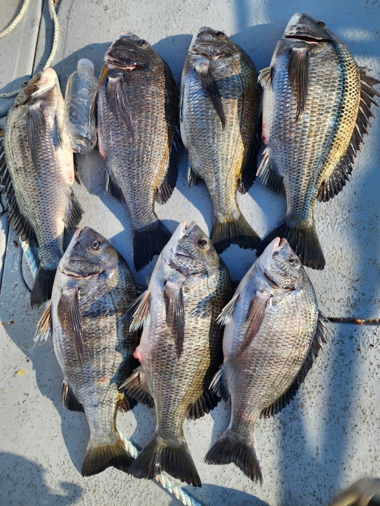 거제덕포해상팬션 