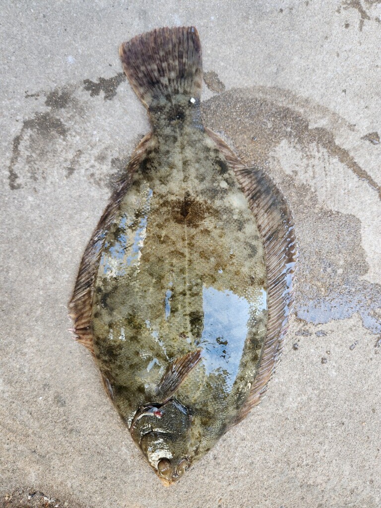 거제덕포해상팬션 