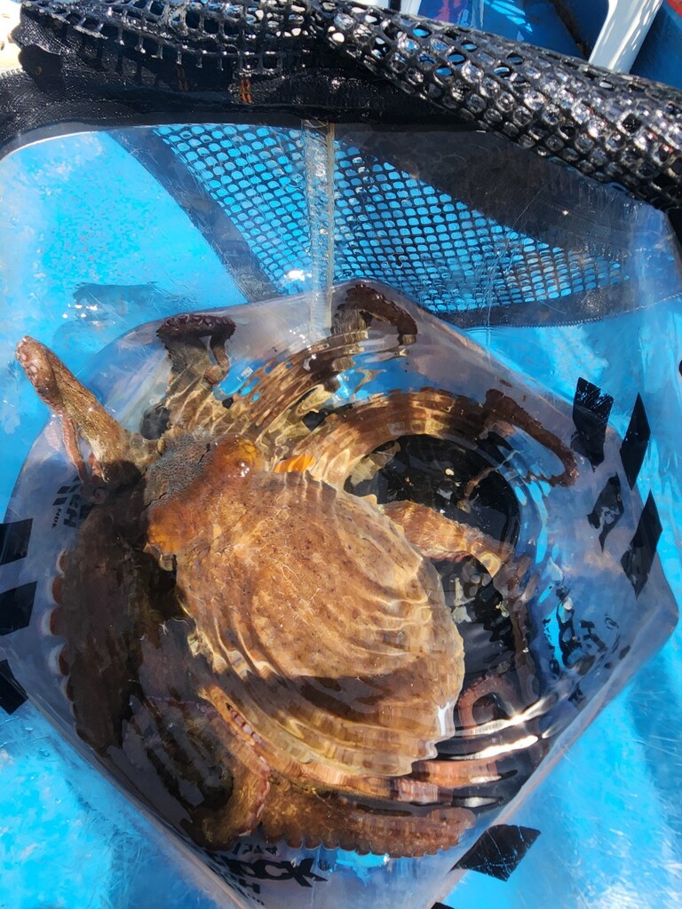 거제덕포해상팬션 