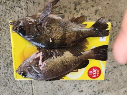 거제덕포해상팬션