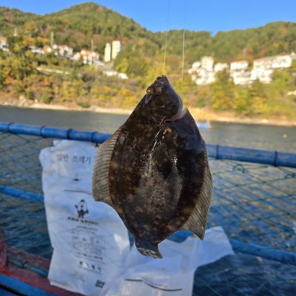 거제덕포해상팬션