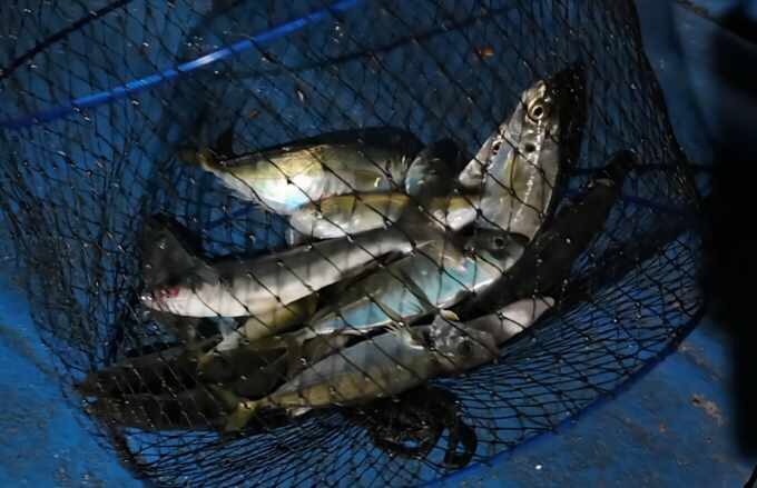 거제덕포해상팬션