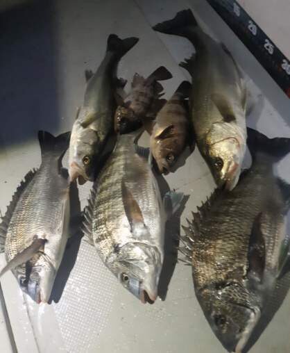 거제덕포해상팬션